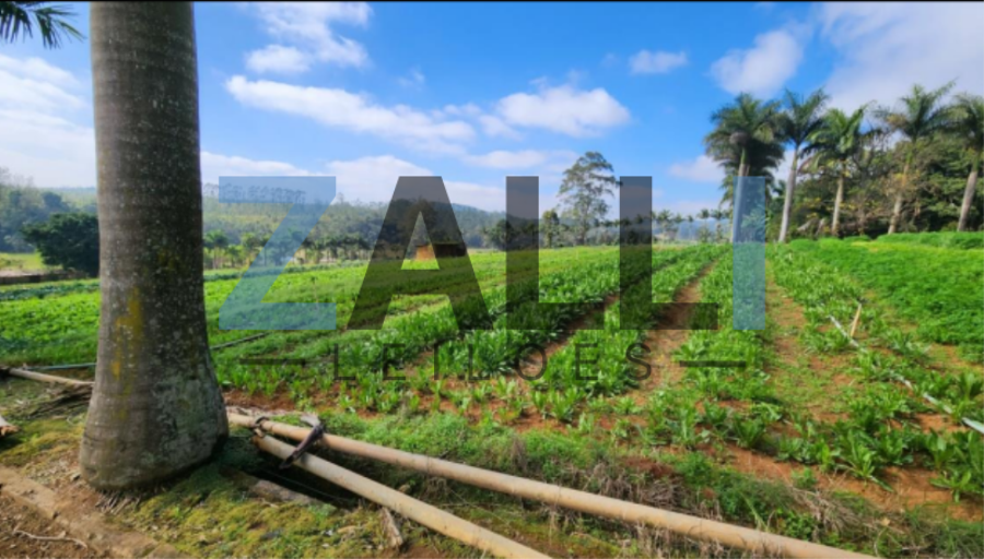 TERRENO RURAL A.T. 121.400m² OU 5 ALQ - SUZANO/SP TERRENO RURAL A.T. 121.400m² OU 5 ALQ - SUZANO/SP, localizado em Suzano - SP