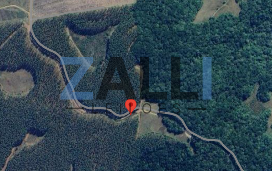 ÁREA RURAL A.T. 550.000m² - CAMBARÁ DO SUL/RS ÁREA RURAL - 55 HA - CAMBARÁ DO SUL/RS, localizado em Cambará Do Sul - RS