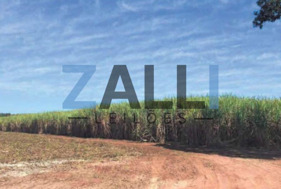 LOTE 02: TERRENO RURAL - 25,85 HECT. 06 IMÓVEIS RURAIS - PORTO FERREIRA/SP, localizado em Porto Ferreira - SP