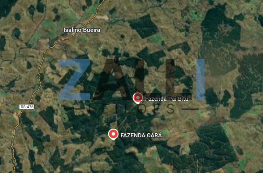 ÁREA RURAL COM 22 HA - SÃO FRANCISCO DE PAULA/RS ÁREA RURAL COM 22 HA - SÃO FRANCISCO DE PAULA/RS, localizado em São Francisco De Paula - RS