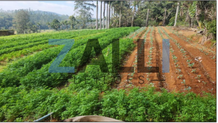 TERRENO RURAL A.T. 121.400m² OU 5 ALQ - SUZANO/SP TERRENO RURAL A.T. 121.400m² OU 5 ALQ - SUZANO/SP, localizado em Suzano - SP