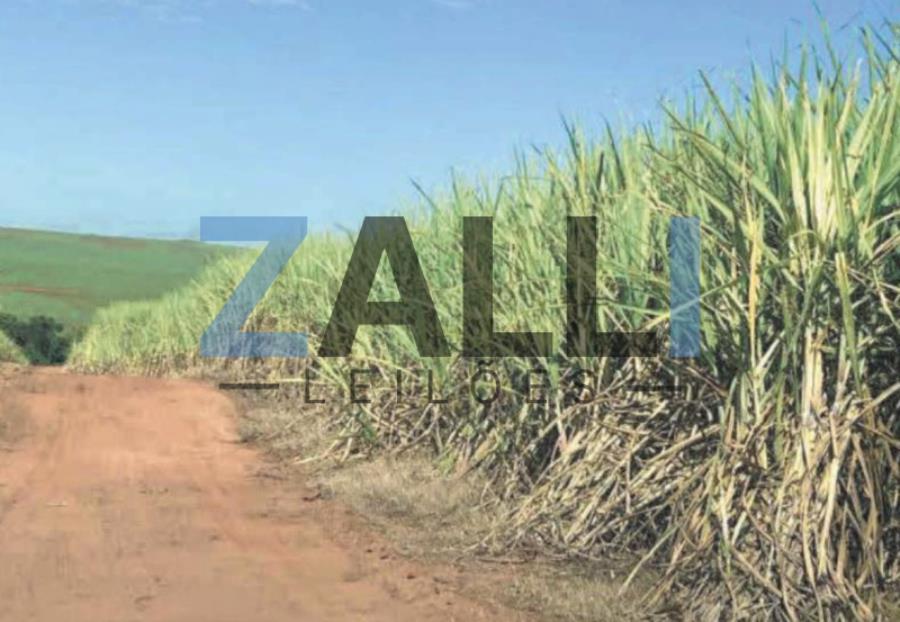 LOTE 02: TERRENO RURAL - 25,85 HECT. 06 IMÓVEIS RURAIS - PORTO FERREIRA/SP, localizado em Porto Ferreira - SP