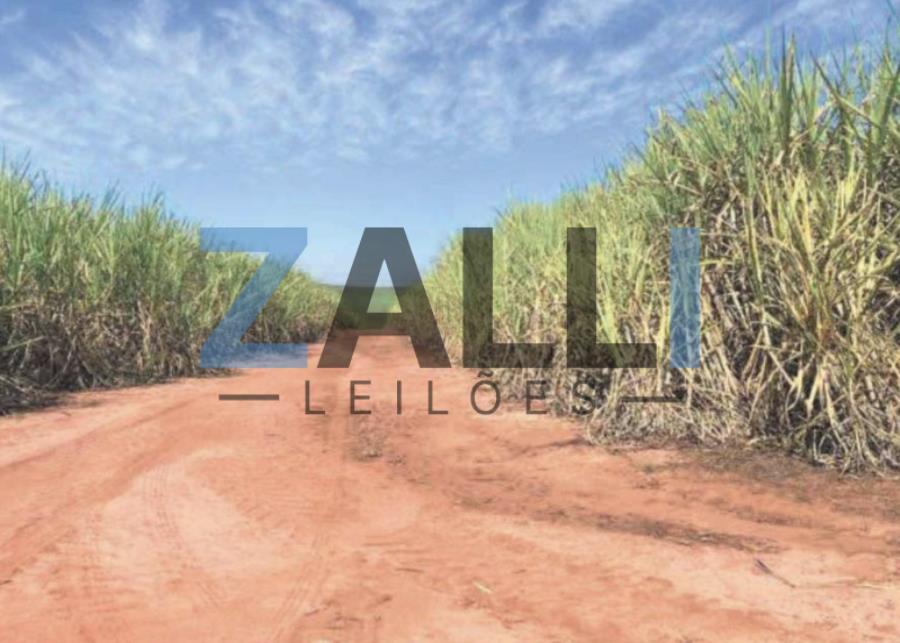 LOTE 02: TERRENO RURAL - 25,85 HECT. 06 IMÓVEIS RURAIS - PORTO FERREIRA/SP, localizado em Porto Ferreira - SP