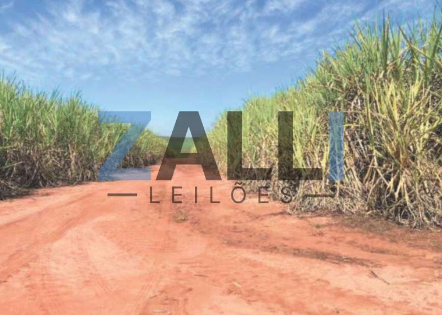 LOTE 02: TERRENO RURAL - 25,85 HECT. 06 IMÓVEIS RURAIS - PORTO FERREIRA/SP, localizado em Porto Ferreira - SP